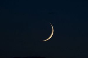 fot. 4 Ł. Kołodziejski